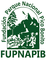 FUPNAPIB