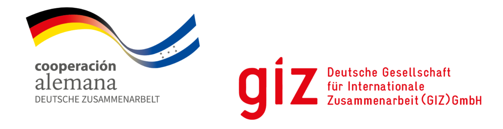 GIZ